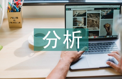 盈利能力分析意義