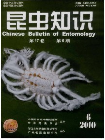 昆蟲(chóng)知識(shí)