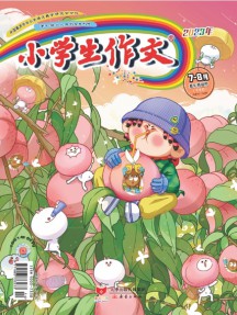小學(xué)生作文雜志