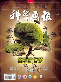 科學畫報