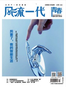 風(fēng)流一代雜志