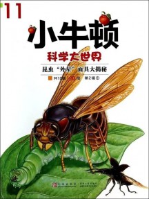 小牛頓雜志