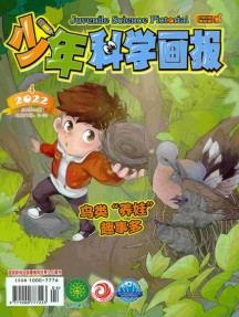 少年科學(xué)畫(huà)報(bào)雜志