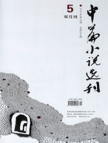中篇小說選刊雜志