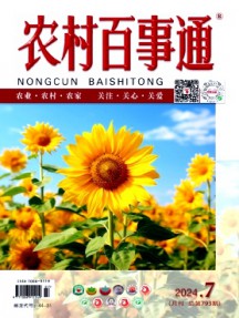 農村百事通雜志