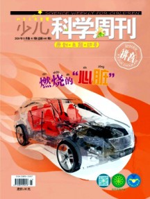 少兒科學周刊·兒童版雜志